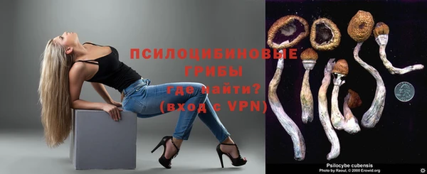 крисы Богданович