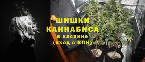 крисы Богданович