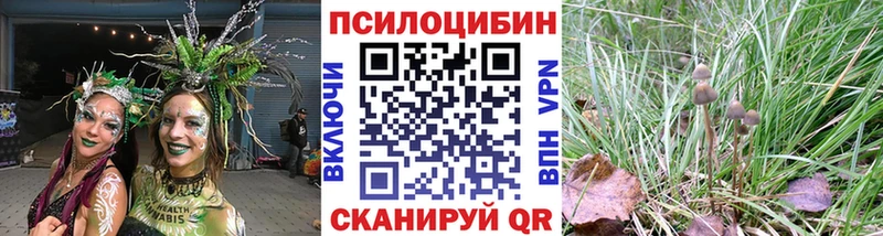Галлюциногенные грибы мицелий  купить  сайты  Мостовской 